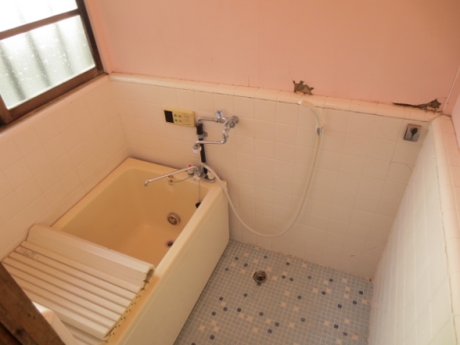 À¶ÏÂÁñ¡¡2¡¦5¡¦6¹æ¼¼