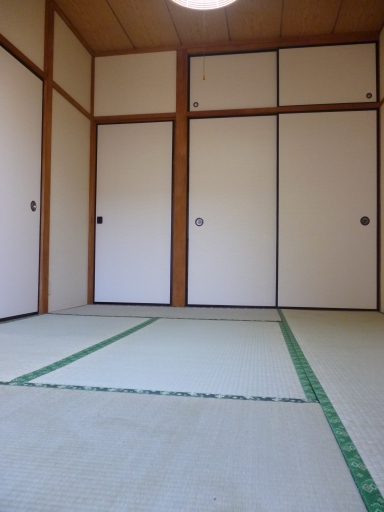 ¥Ñ¥¹¥È¥é¥ëÀкꡡ202¹æ¼¼¡¡103¹æ¼¼