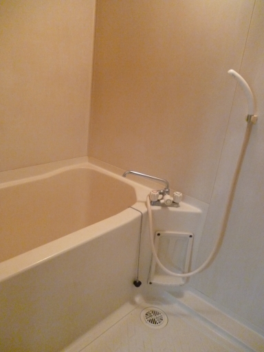 ¥Ñ¥¹¥È¥é¥ëÀкꡡ202¹æ¼¼¡¡103¹æ¼¼