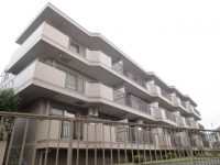 ���������ȥӥ塼��2��205�漼��305�漼